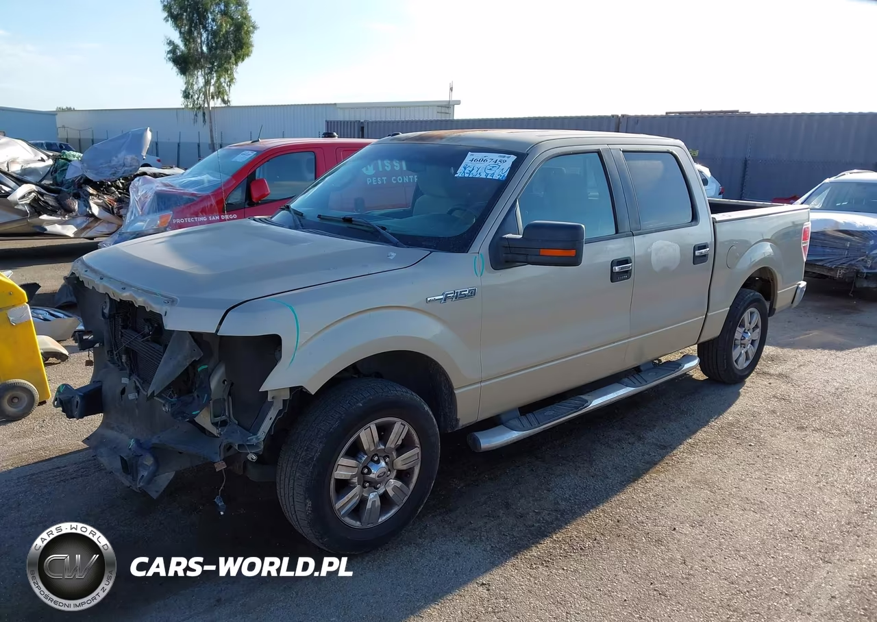 2009 Ford F-150 Xl-Xlt VIN:1FTRW12859KC78893 - 2