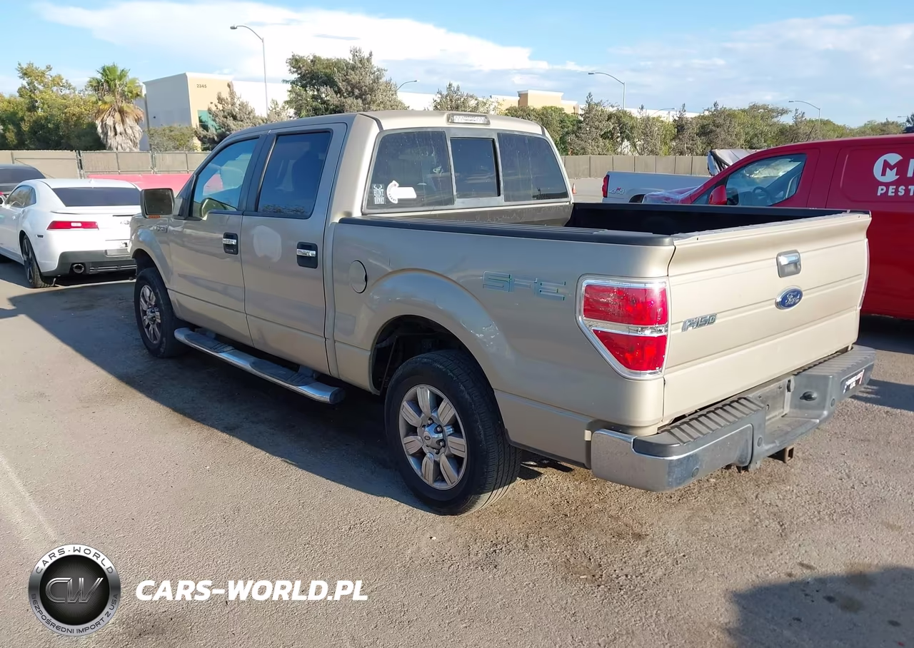 2009 Ford F-150 Xl-Xlt VIN:1FTRW12859KC78893 - 3