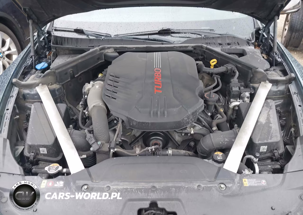 2022 Kia Stinger Gt1 VIN:KNAE45LC6N6119458 - 10