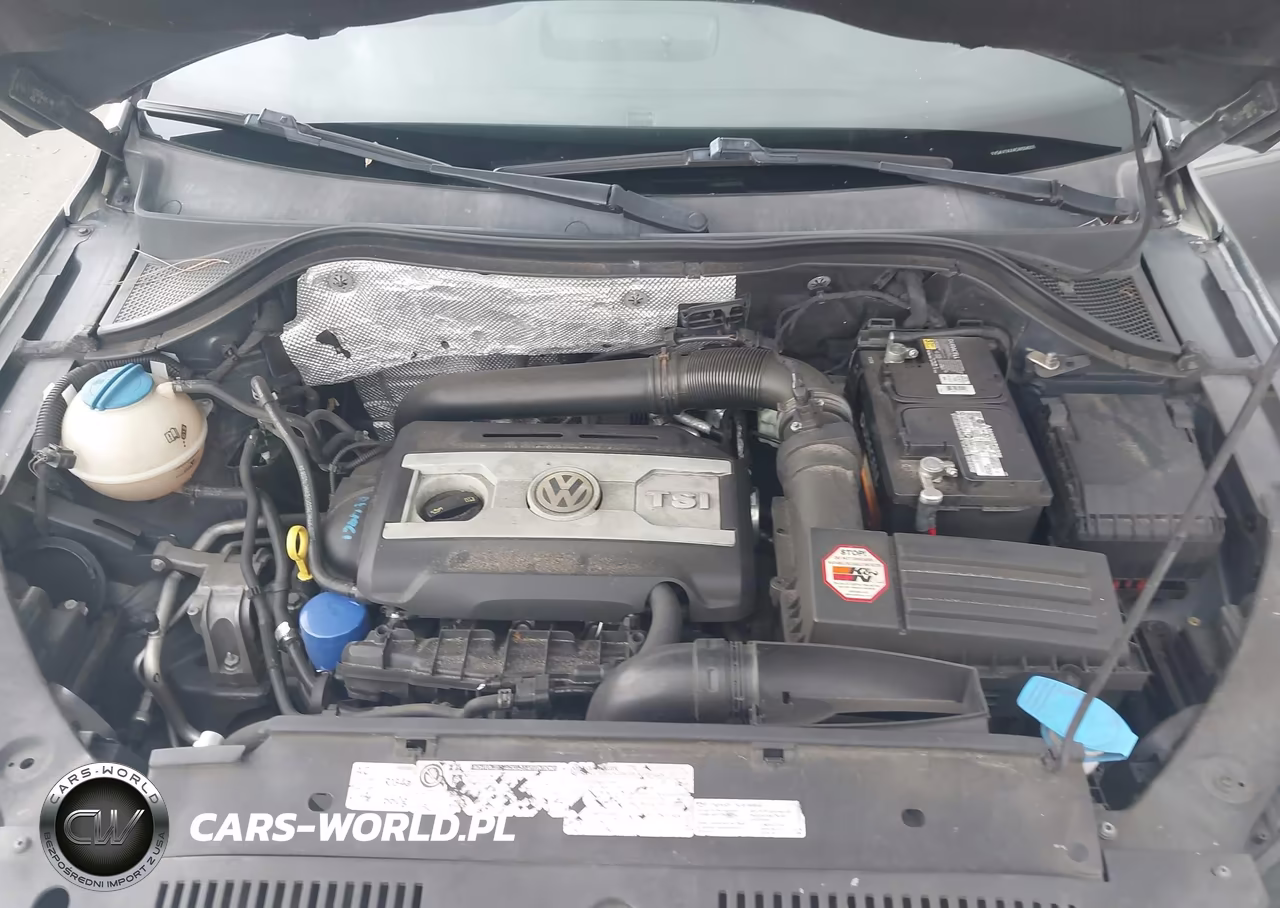 2012 Volkswagen Tiguan Le VIN:WVGAV7AX4CW004205 - 10