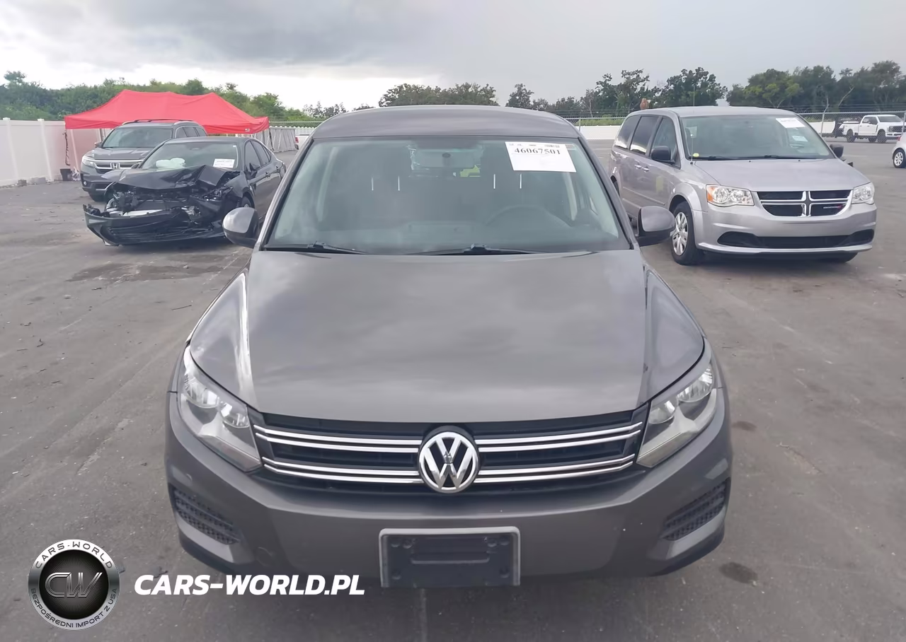 2012 Volkswagen Tiguan Le VIN:WVGAV7AX4CW004205 - 12