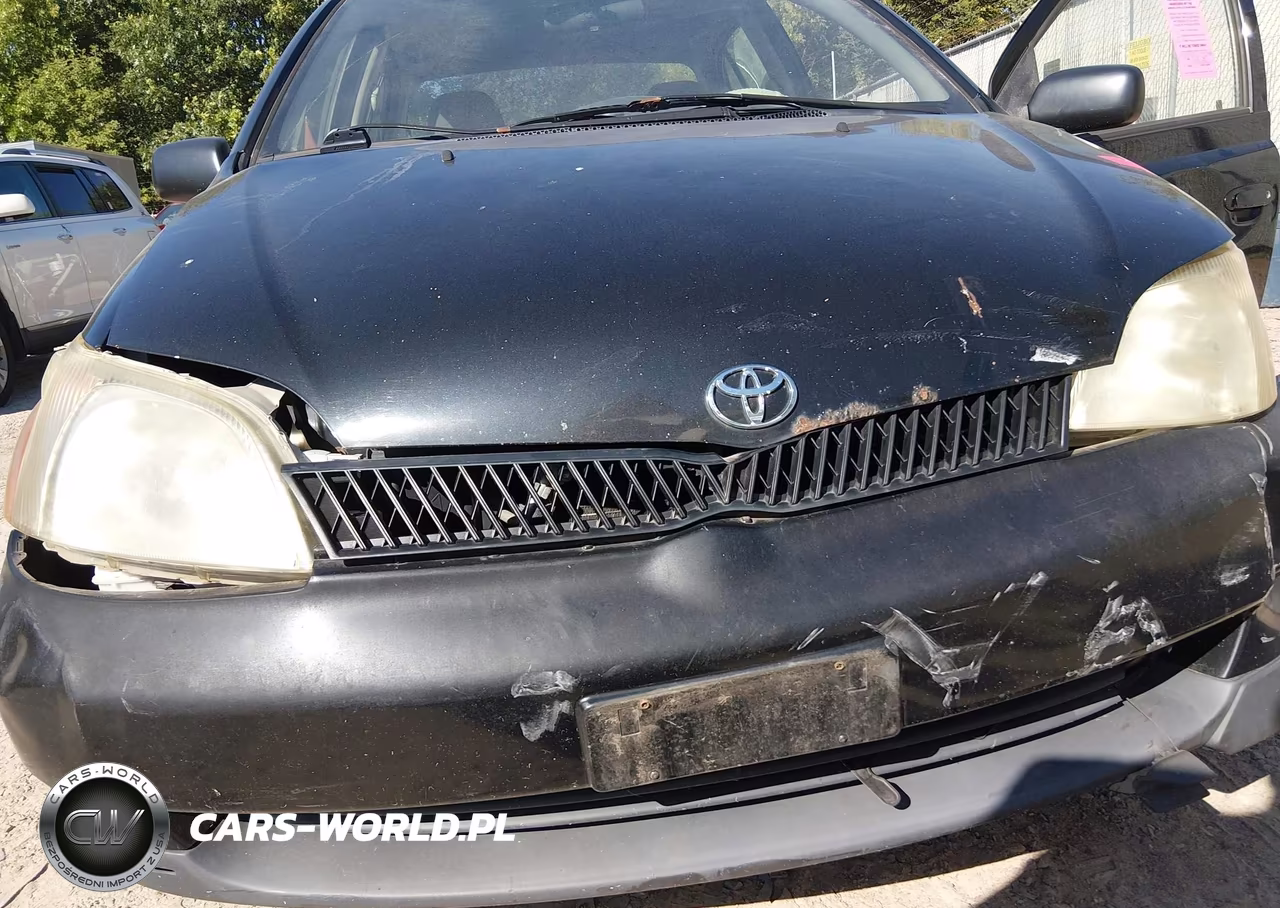 2000 Toyota Echo VIN:JTDBT1230Y0039986 - 12
