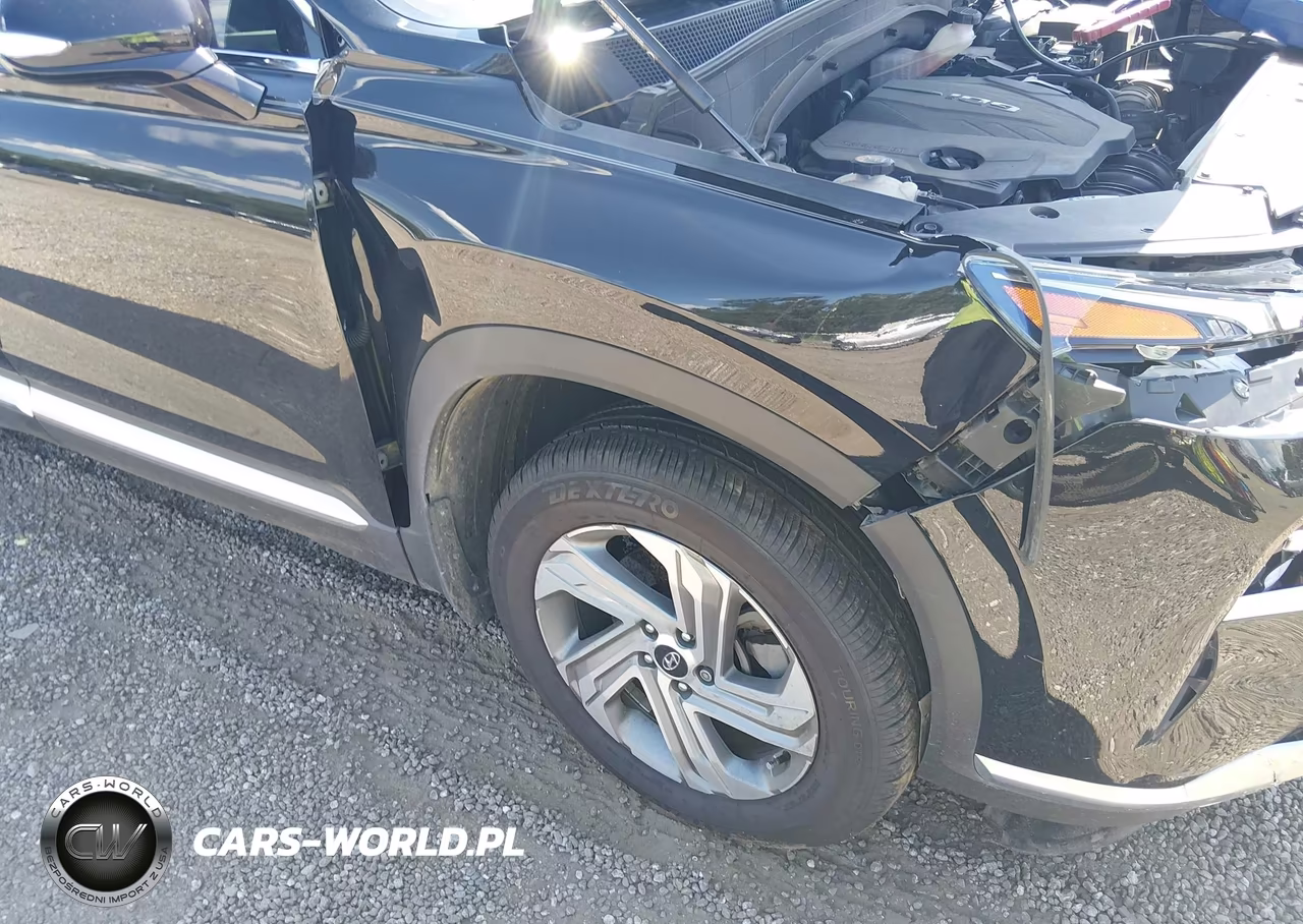 2021 Hyundai Santa Fe Sel VIN:5NMS3DAJ9MH372313 - 6