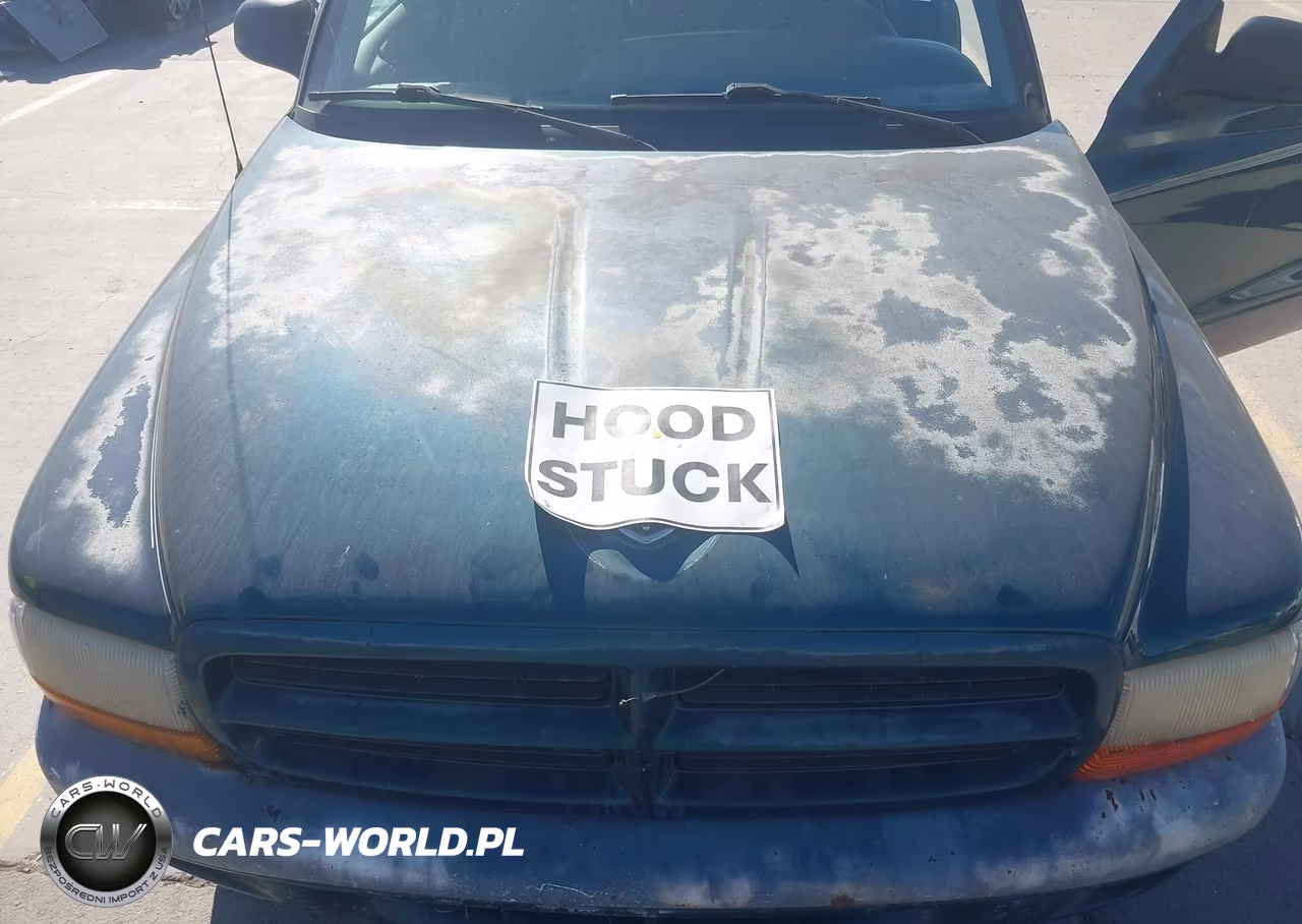 1997 Dodge Dakota Sport VIN:1B7FL26P9VS312850 - 10