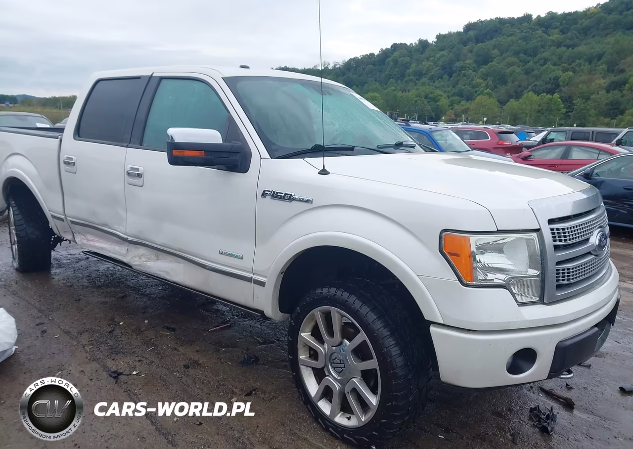 2012 Ford F-150 Platinum