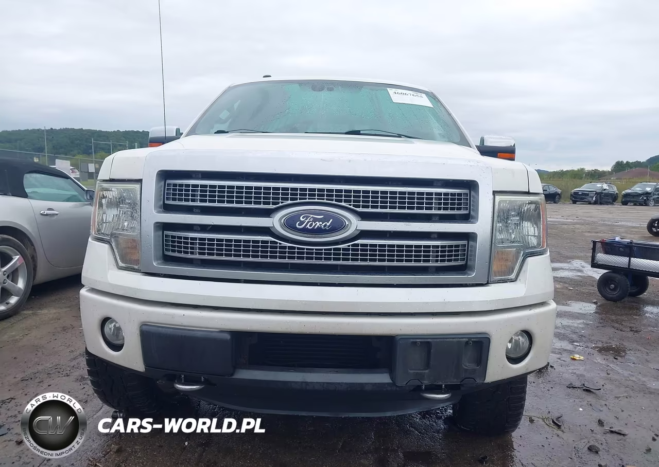 2012 Ford F-150 Platinum VIN:1FTFW1ET5CFC30975 - 13