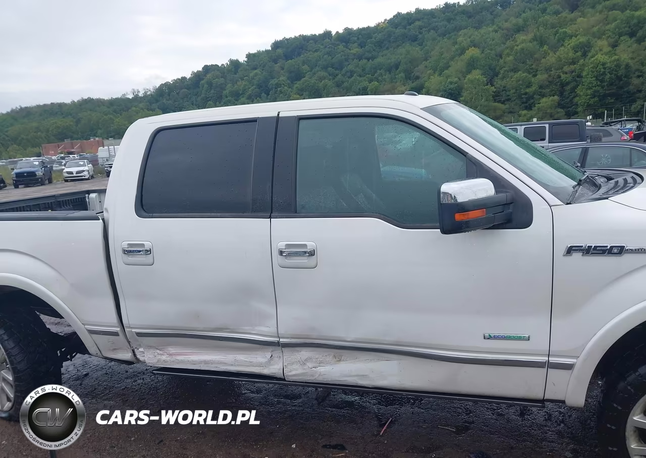 2012 Ford F-150 Platinum VIN:1FTFW1ET5CFC30975 - 14