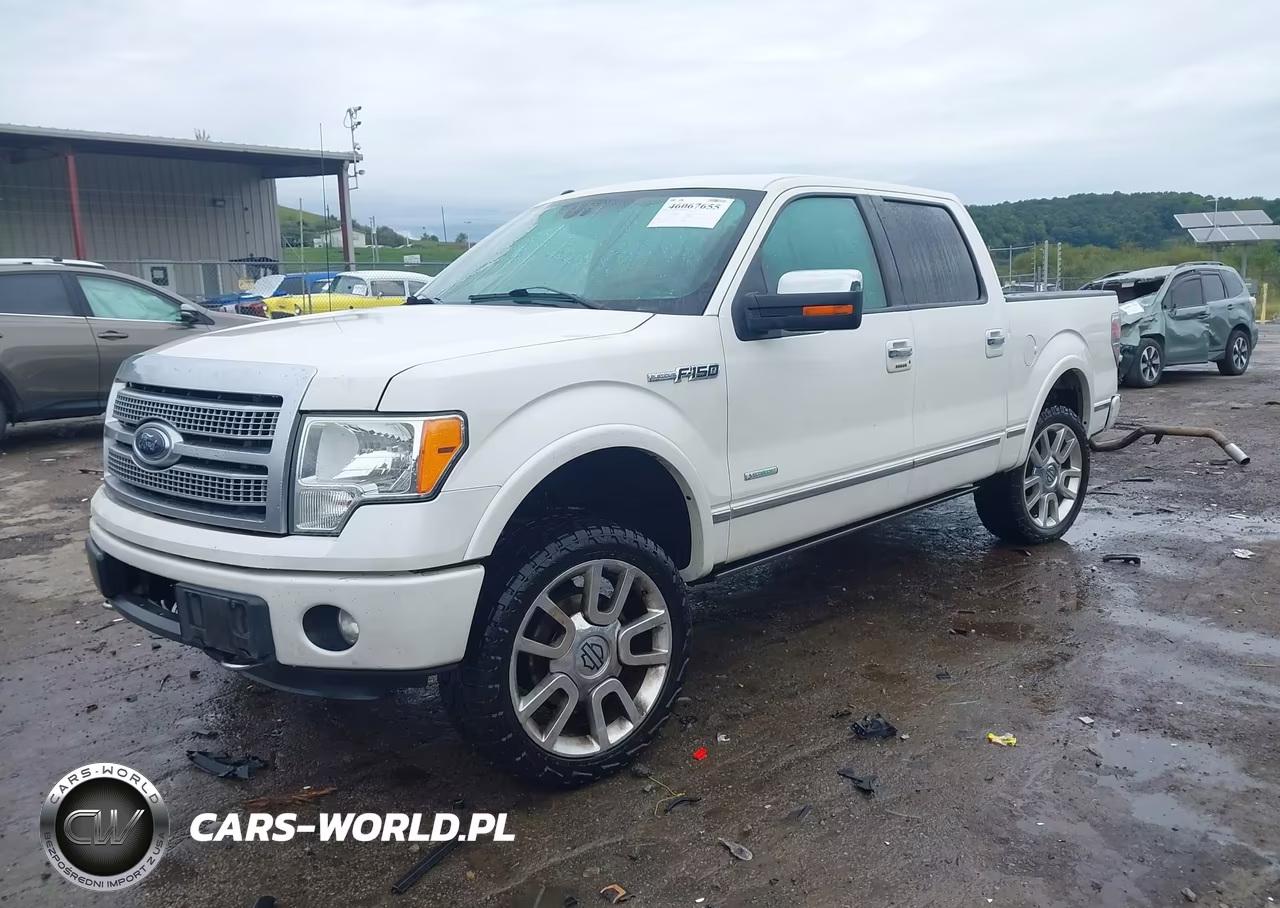 2012 Ford F-150 Platinum VIN:1FTFW1ET5CFC30975 - 2
