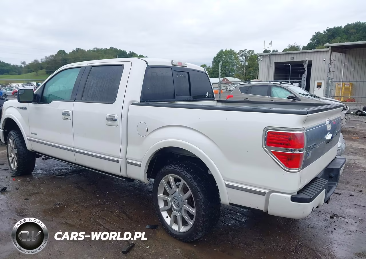 2012 Ford F-150 Platinum VIN:1FTFW1ET5CFC30975 - 3
