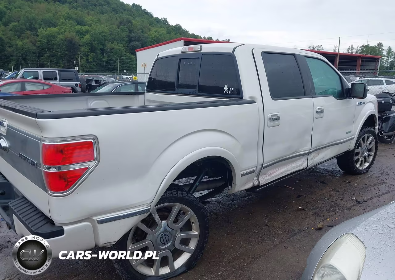 2012 Ford F-150 Platinum VIN:1FTFW1ET5CFC30975 - 4