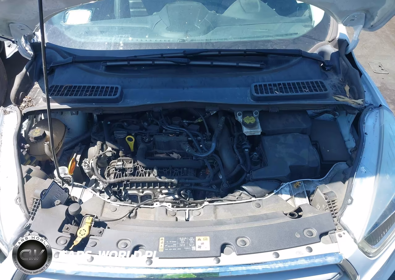 2019 Ford Escape Sel VIN:1FMCU0HD8KUB79291 - 10