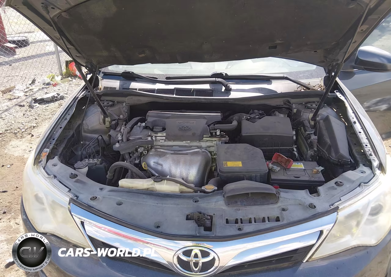 2014 Toyota Camry Se VIN:4T1BF1FK5EU405448 - 10