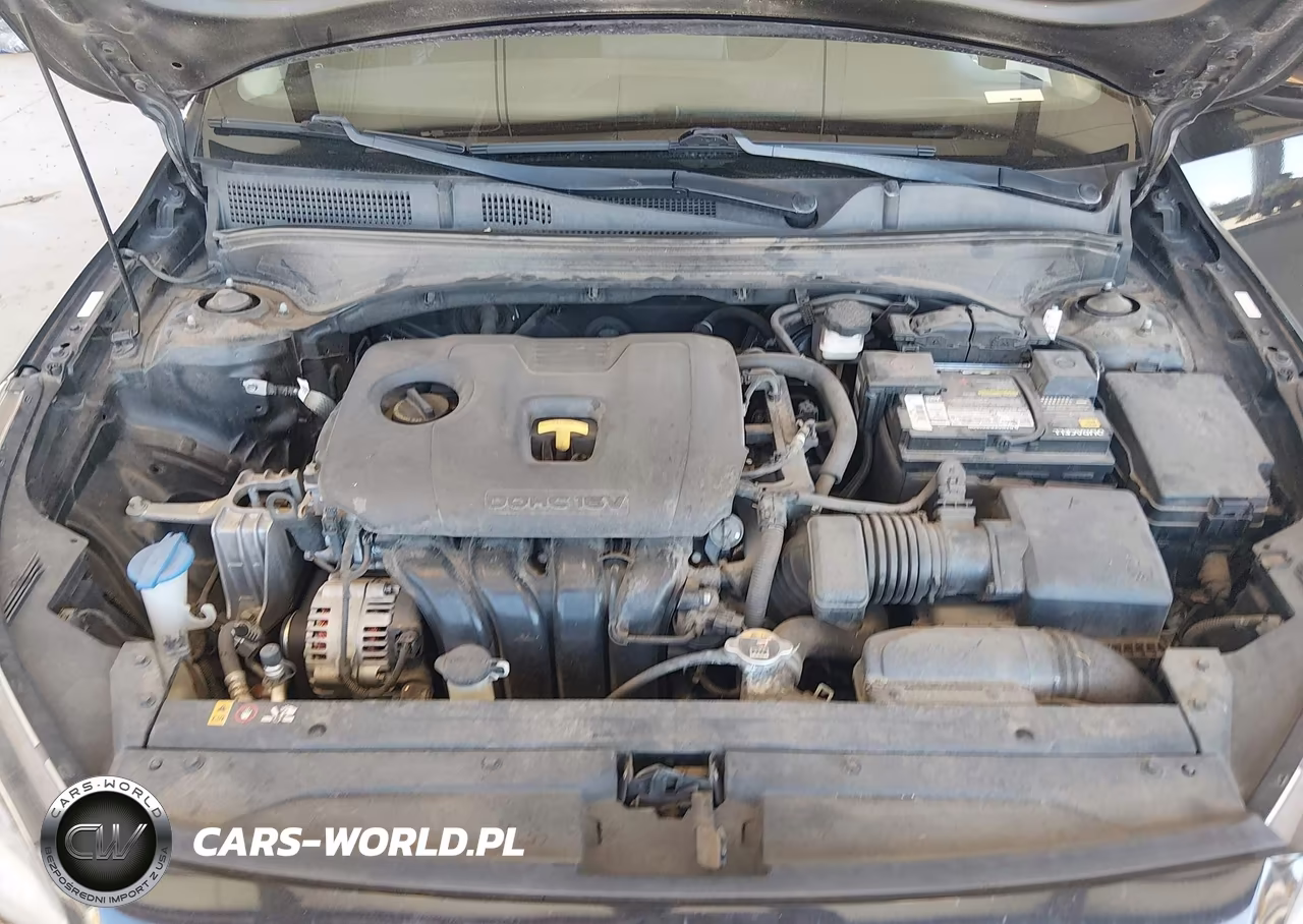 2019 Kia Forte Lxs VIN:3KPF24ADXKE028332 - 10