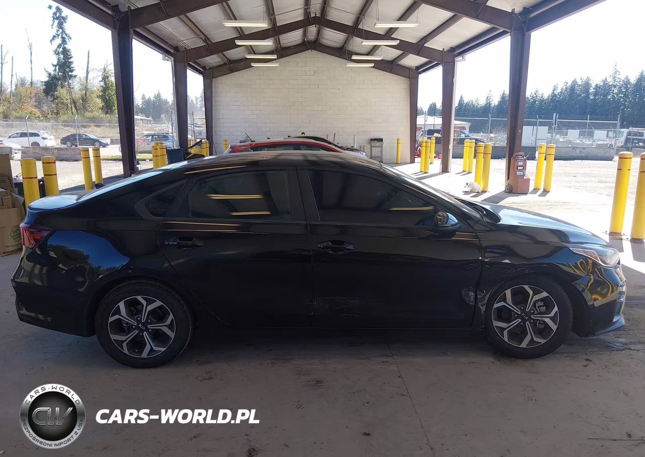 2019 Kia Forte Lxs VIN:3KPF24ADXKE028332 - 12