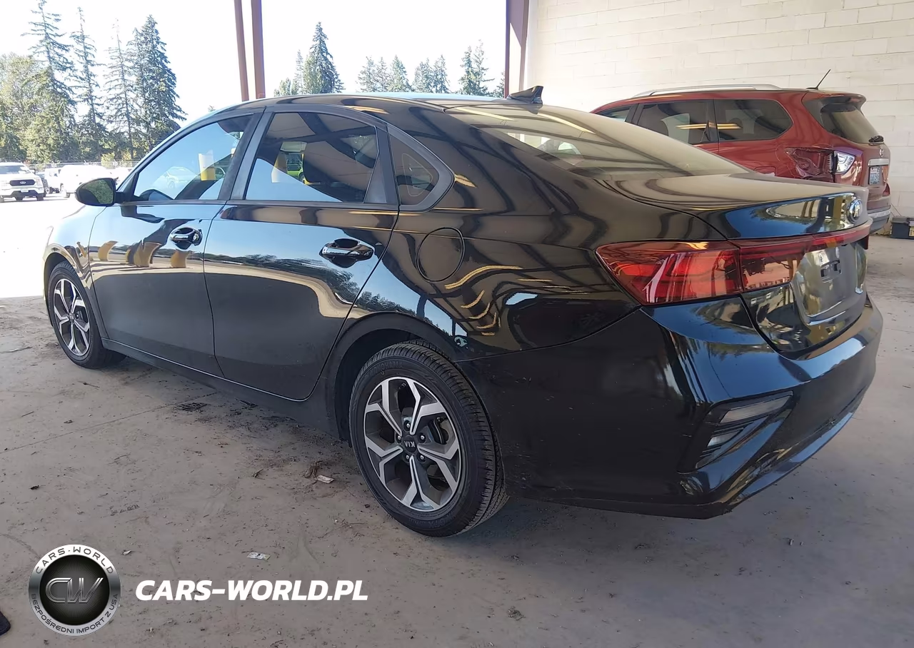 2019 Kia Forte Lxs VIN:3KPF24ADXKE028332 - 3