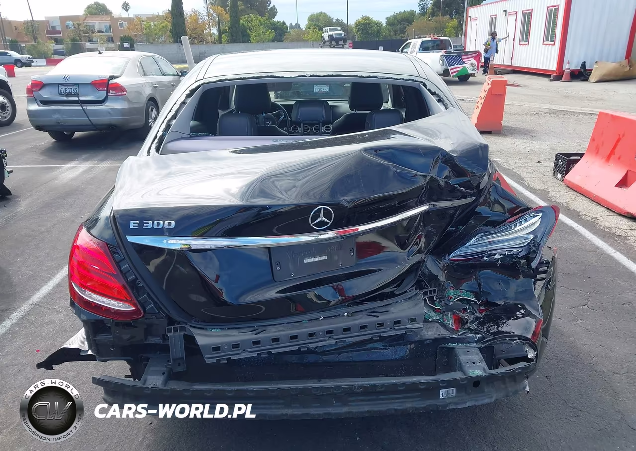 2017 Mercedes-Benz E 300 VIN:WDDZF4JB1HA149266 - 17