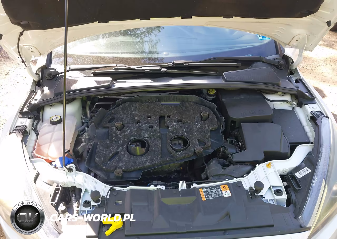 2016 Ford Focus St VIN:1FADP3L9XGL383369 - 10