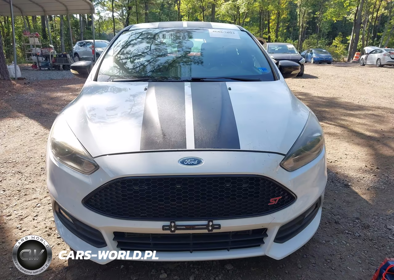 2016 Ford Focus St VIN:1FADP3L9XGL383369 - 12