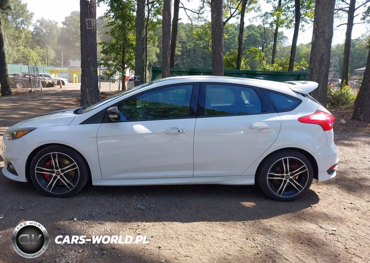 2016 Ford Focus St VIN:1FADP3L9XGL383369 - 14
