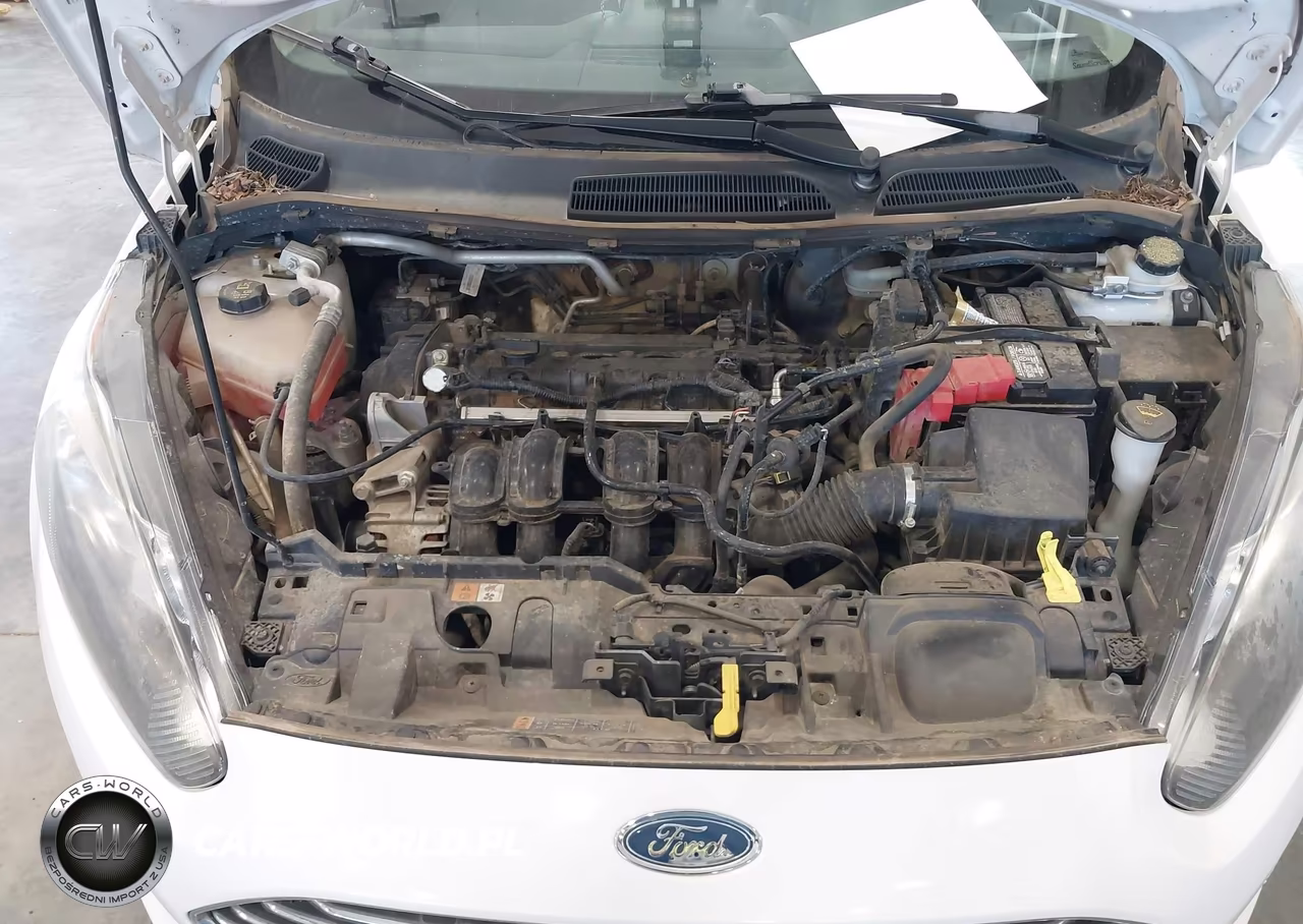 2015 Ford Fiesta Se VIN:3FADP4EJ3FM115192 - 10