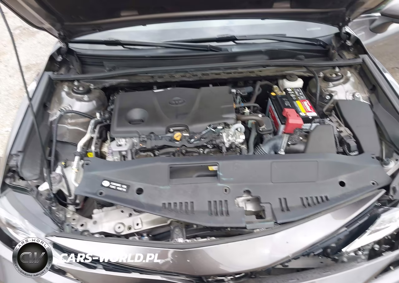 2021 Toyota Camry Le VIN:4T1C11AK9MU600199 - 10