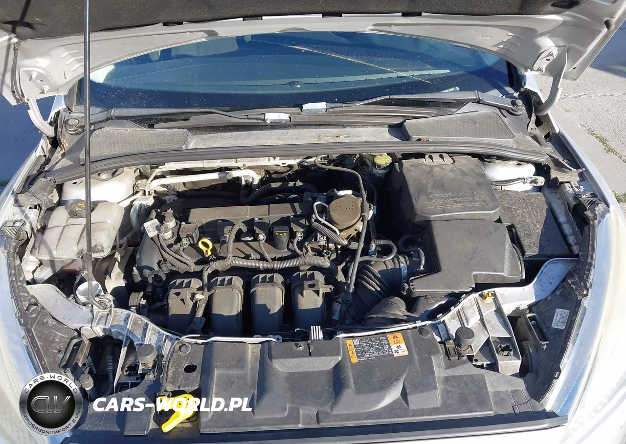 2015 Ford Focus Se VIN:1FADP3F26FL249097 - 10