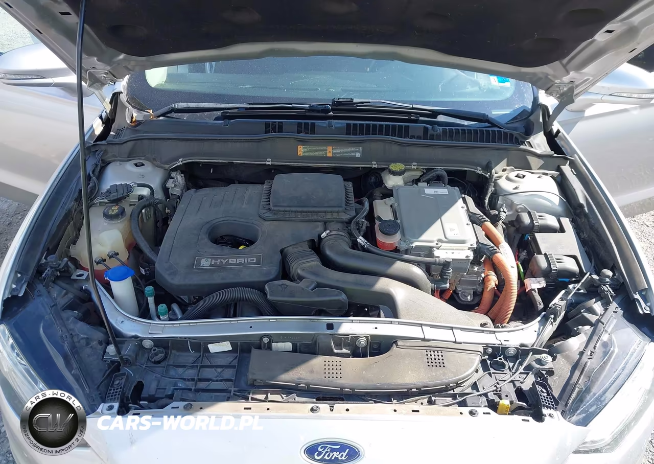 2017 Ford Fusion Hybrid Se VIN:3FA6P0LUXHR287112 - 10