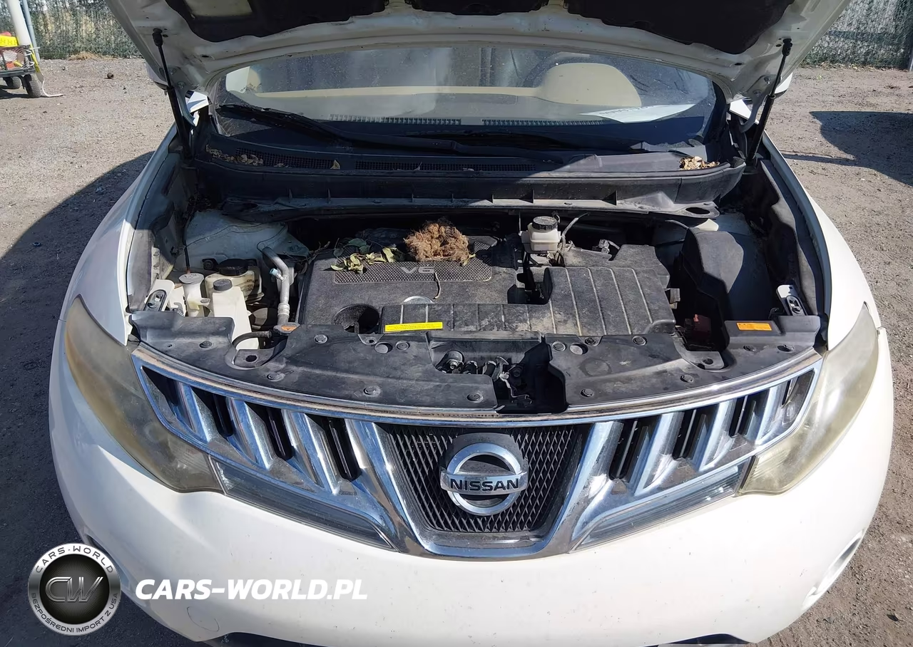 2009 Nissan Murano Sl VIN:JN8AZ18UX9W018818 - 10