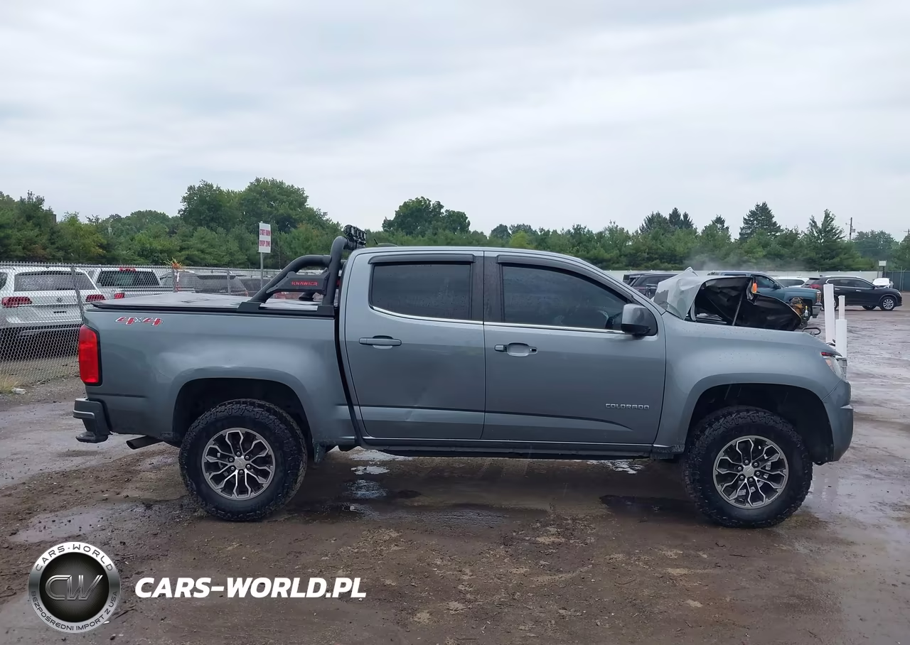 2019 Chevrolet Colorado Lt VIN:1GCGTCEN3K1327047 - 13