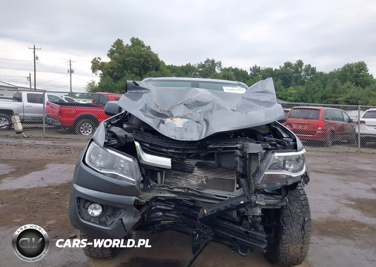 2019 Chevrolet Colorado Lt VIN:1GCGTCEN3K1327047 - 6