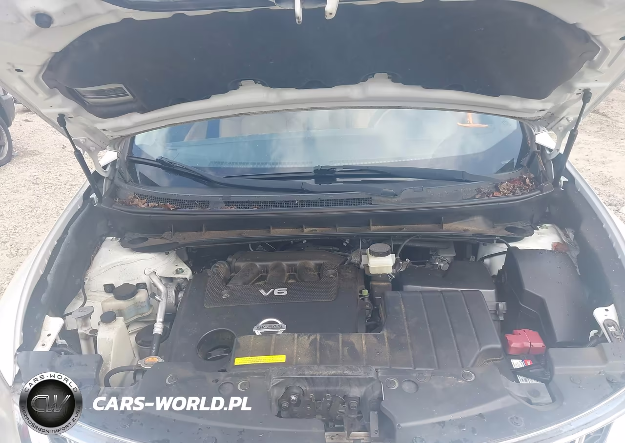 2014 Nissan Murano Crosscabriolet VIN:JN8AZ1FY3EW302744 - 10