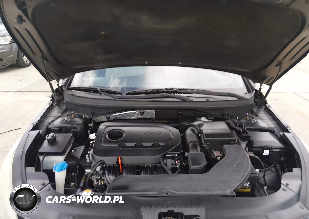 2015 Hyundai Sonata Se VIN:5NPE24AF6FH066882 - 10
