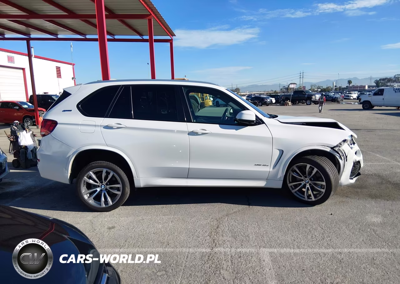 2017 BMW X5 Edrive xDrive40E Iperformance VIN:5UXKT0C50H0S80004 - 13