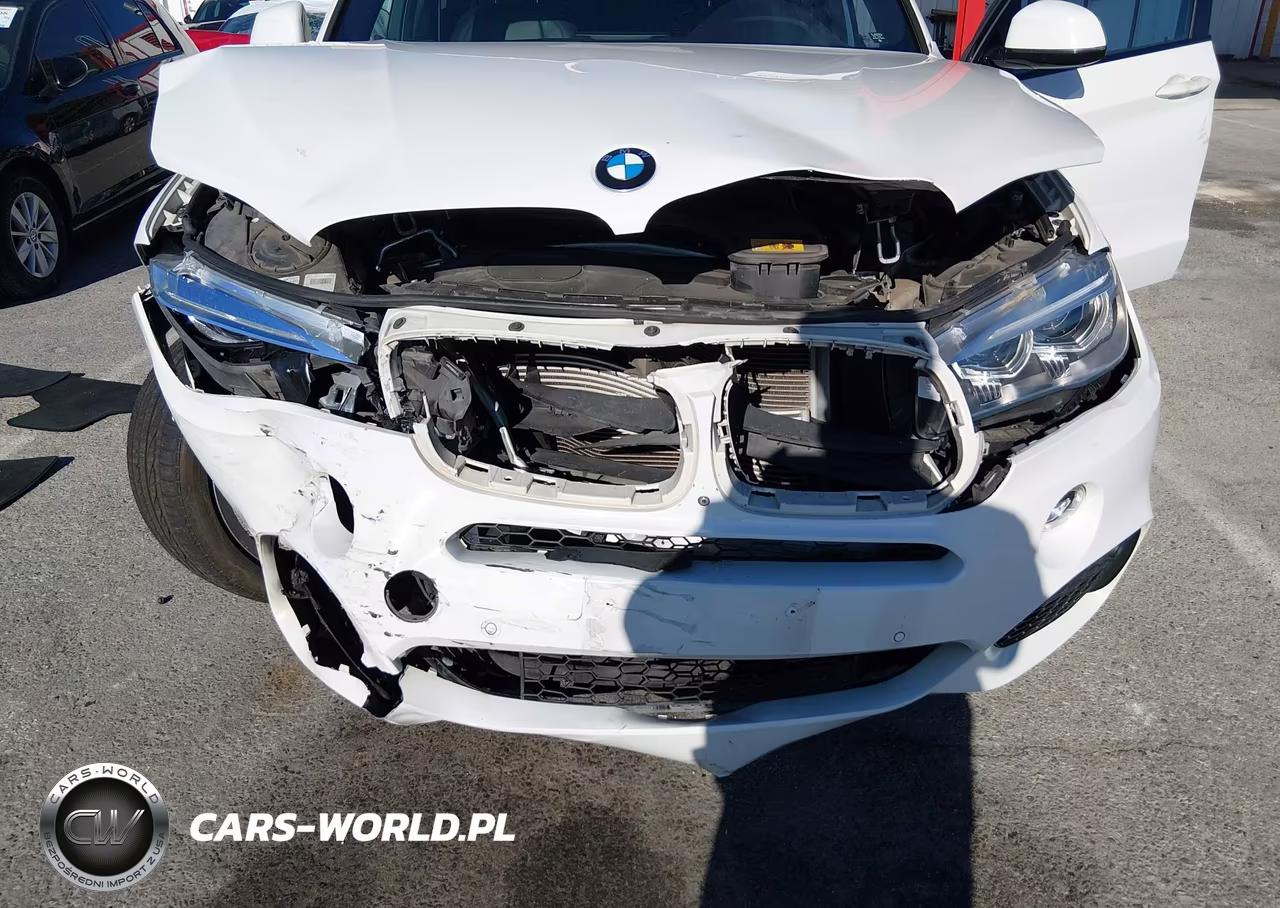 2017 BMW X5 Edrive xDrive40E Iperformance VIN:5UXKT0C50H0S80004 - 6