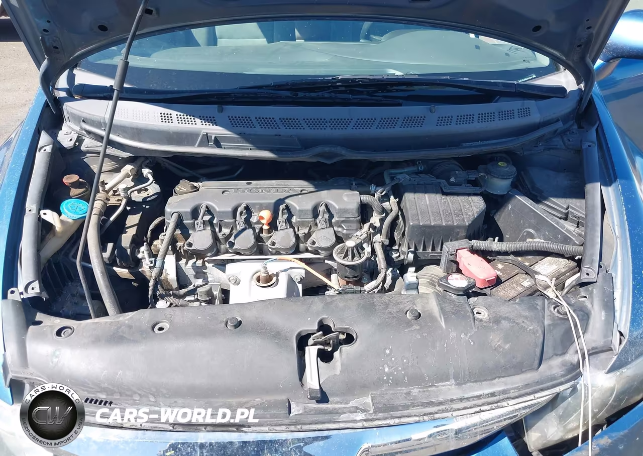 2010 Honda Civic Lx VIN:2HGFA1F55AH531922 - 10