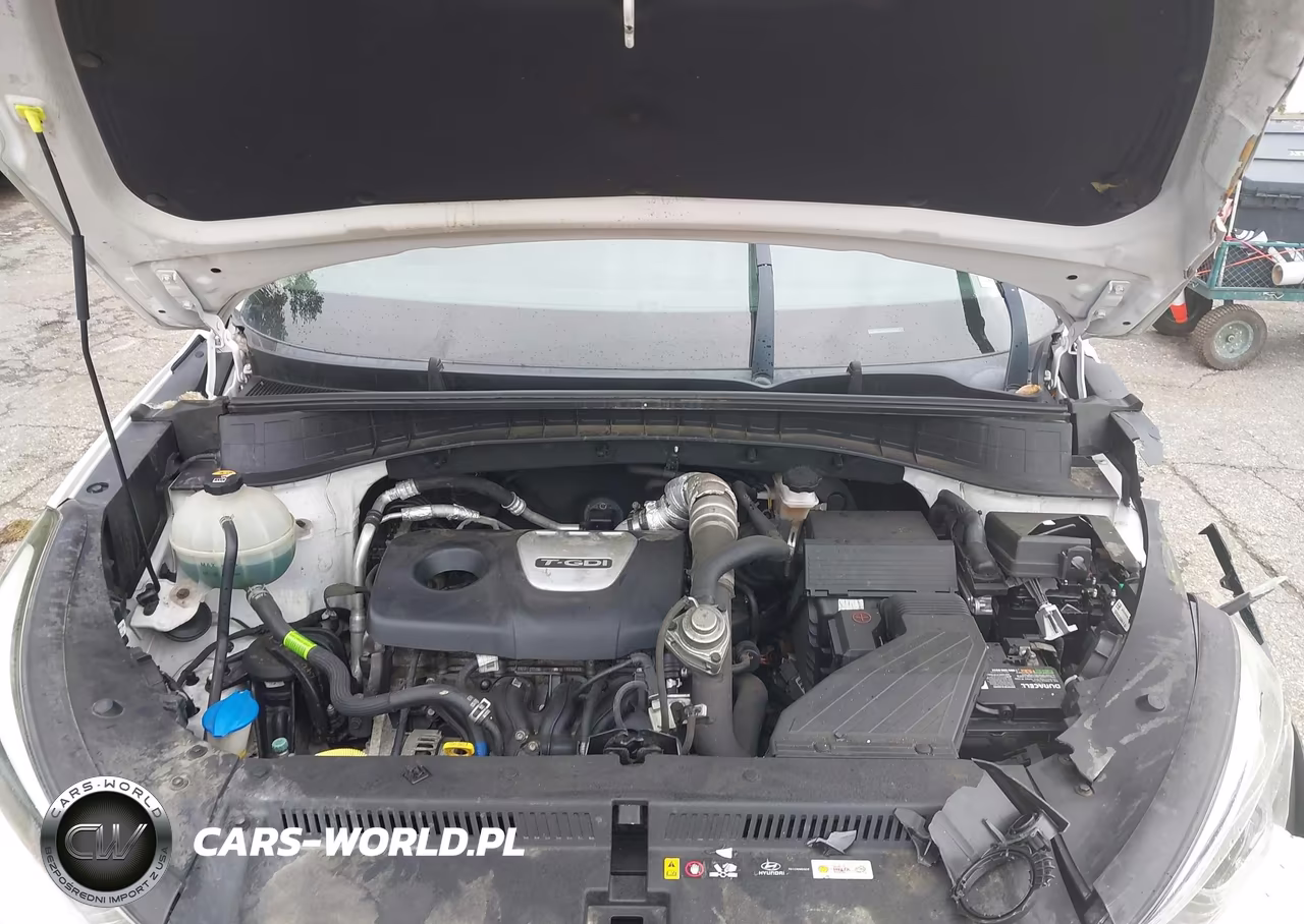 2018 Hyundai Tucson Value VIN:KM8J3CA23JU627570 - 10