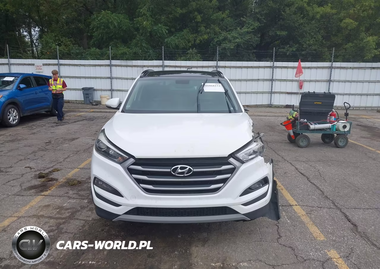 2018 Hyundai Tucson Value VIN:KM8J3CA23JU627570 - 12