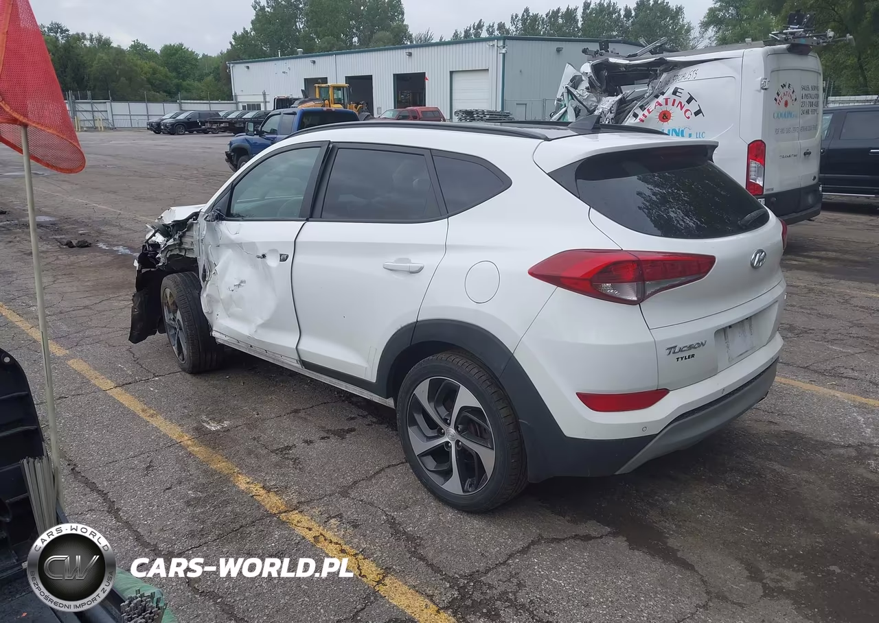 2018 Hyundai Tucson Value VIN:KM8J3CA23JU627570 - 3