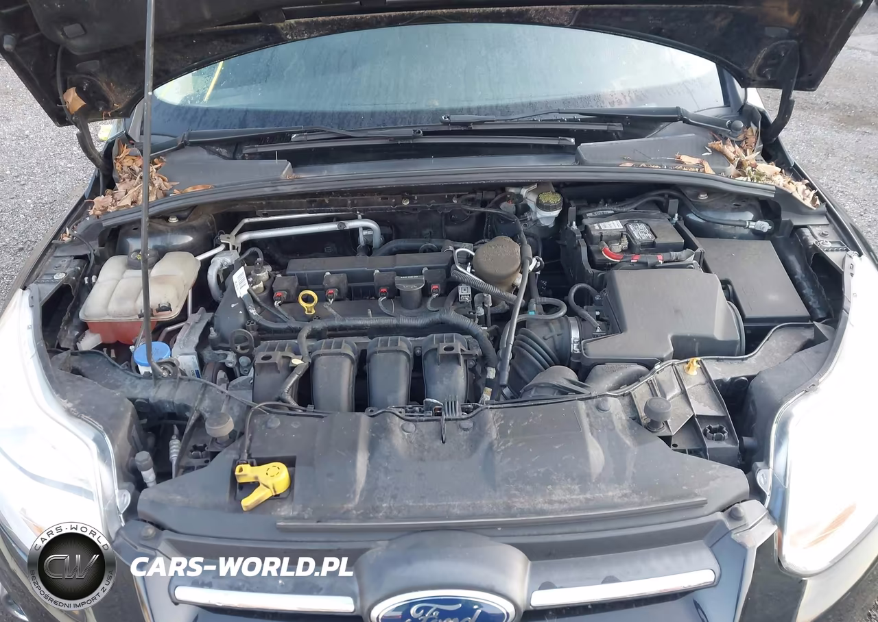 2014 Ford Focus Se VIN:1FADP3K22EL132279 - 10