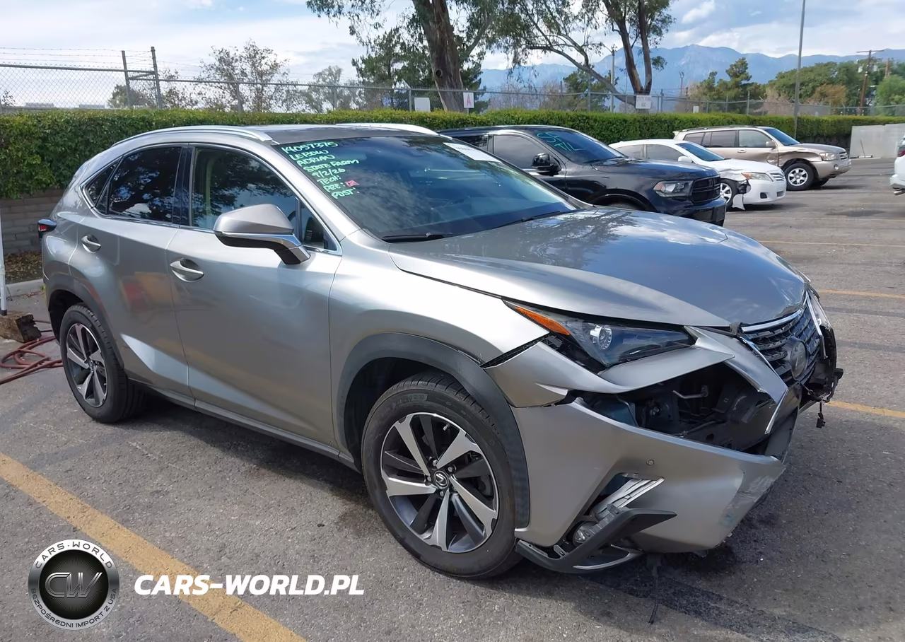 2019 Lexus Nx 300