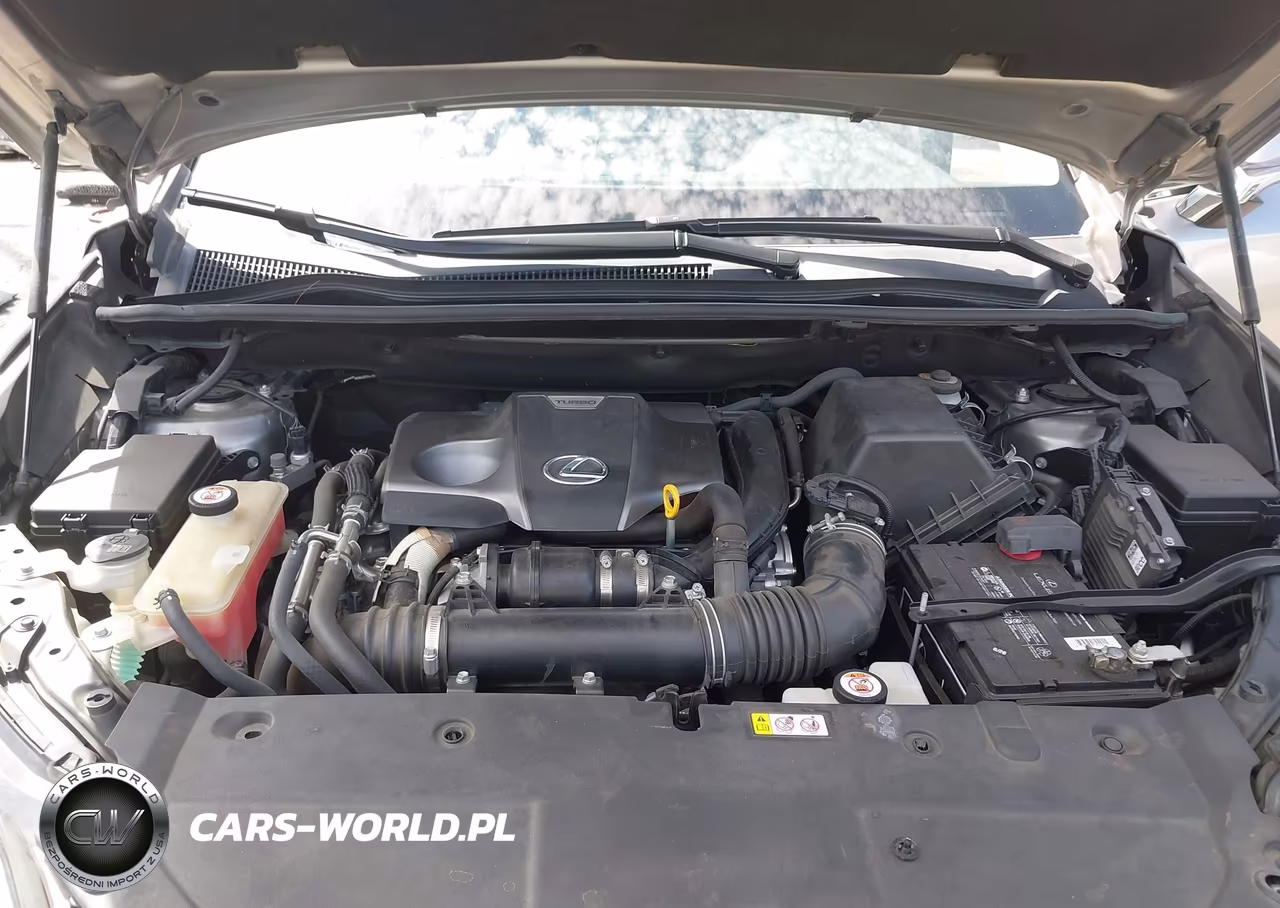 2019 Lexus Nx 300 VIN:JTJYARBZ3K2149670 - 10