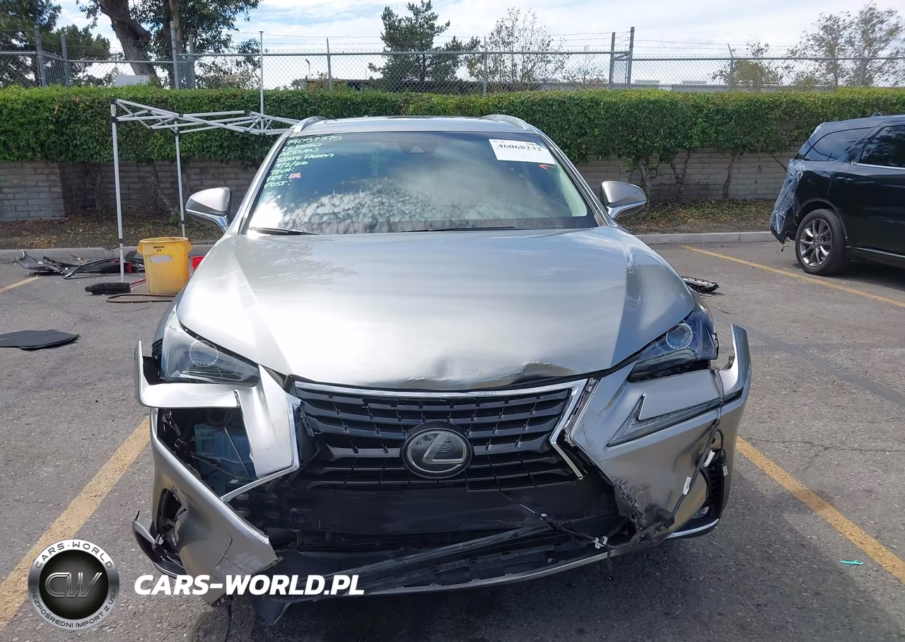 2019 Lexus Nx 300 VIN:JTJYARBZ3K2149670 - 13