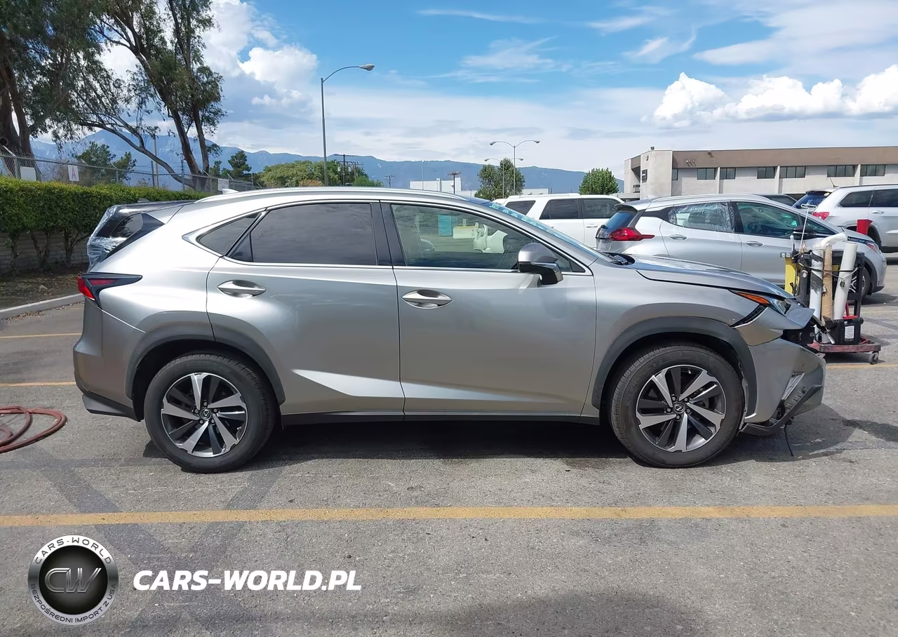 2019 Lexus Nx 300 VIN:JTJYARBZ3K2149670 - 14