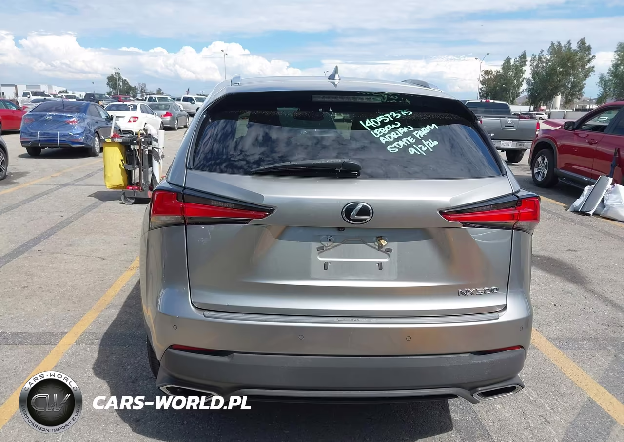 2019 Lexus Nx 300 VIN:JTJYARBZ3K2149670 - 17
