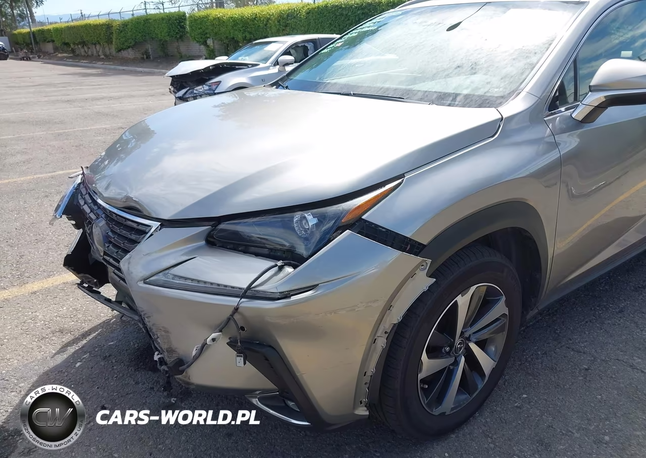 2019 Lexus Nx 300 VIN:JTJYARBZ3K2149670 - 18