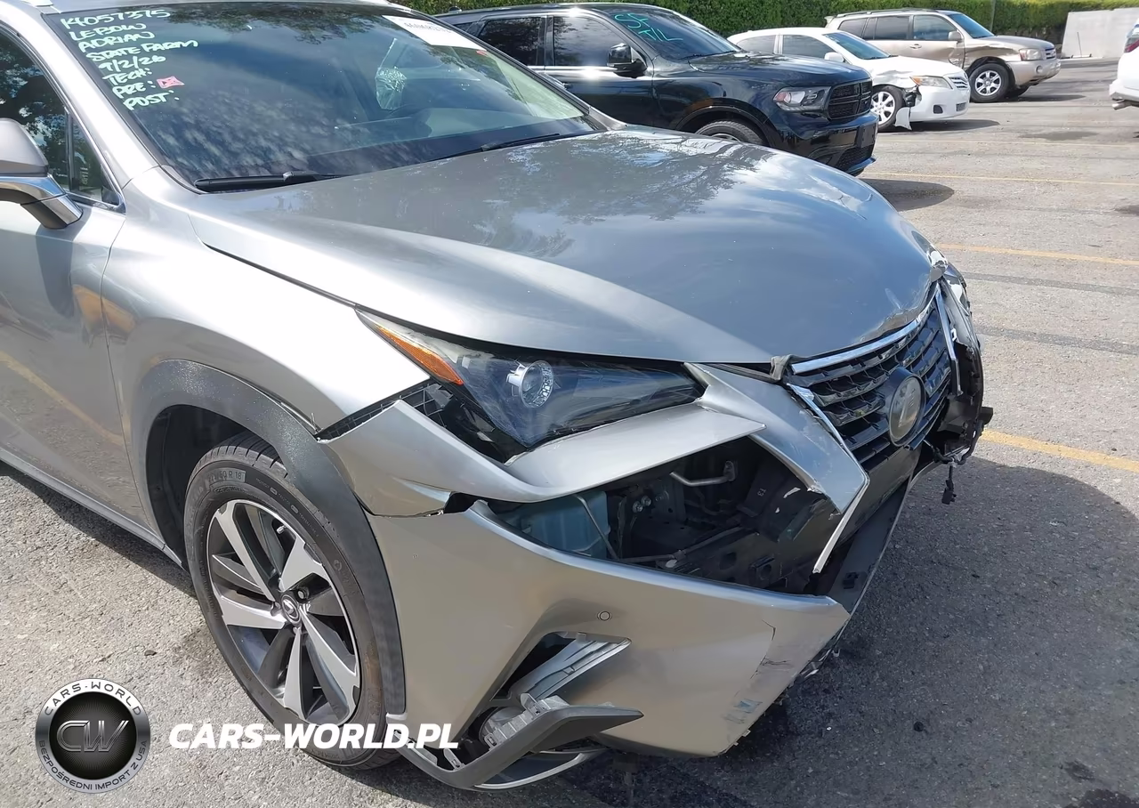 2019 Lexus Nx 300 VIN:JTJYARBZ3K2149670 - 19
