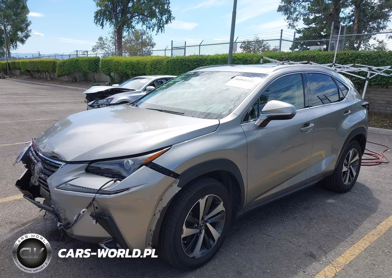 2019 Lexus Nx 300 VIN:JTJYARBZ3K2149670 - 2