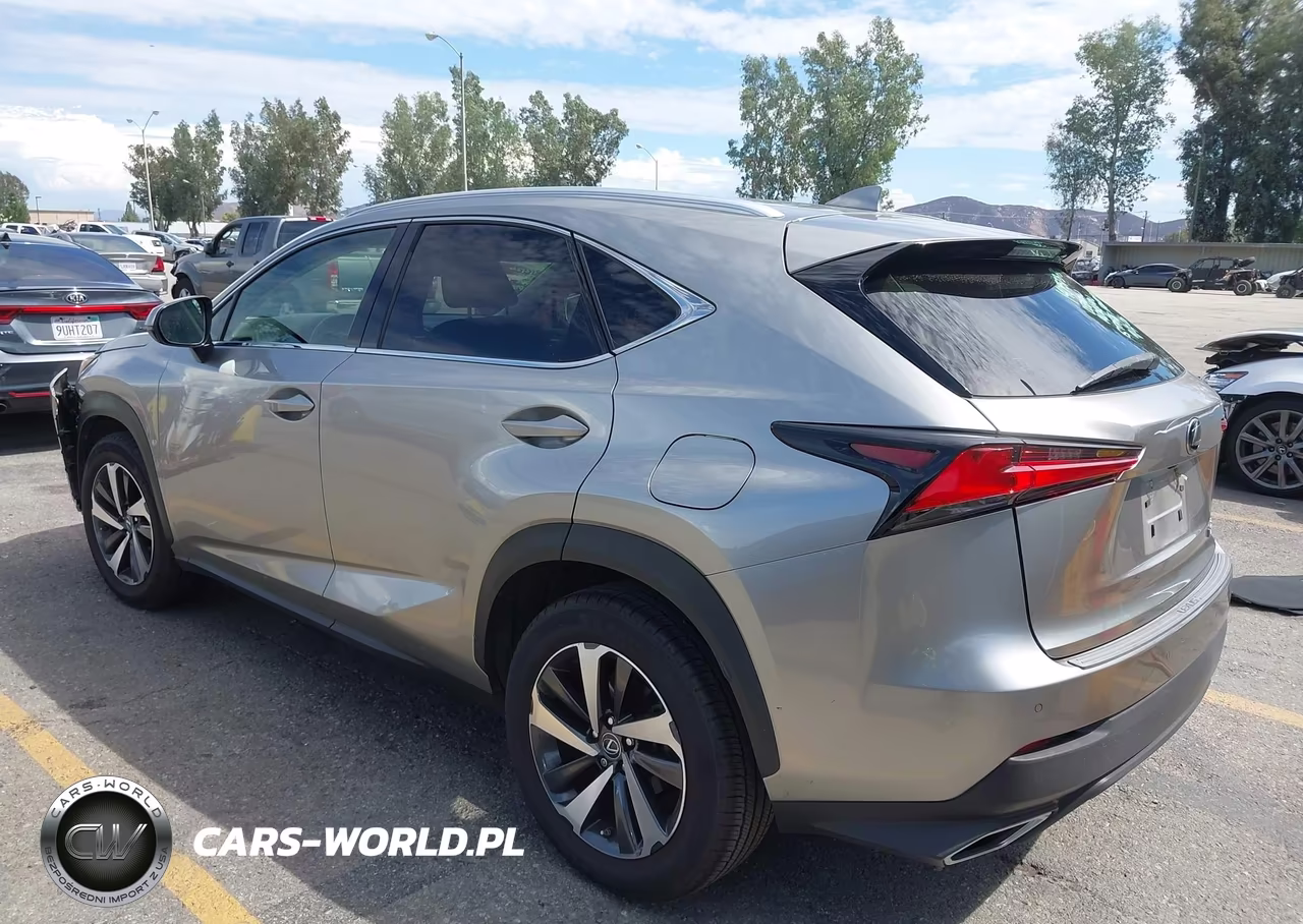 2019 Lexus Nx 300 VIN:JTJYARBZ3K2149670 - 3