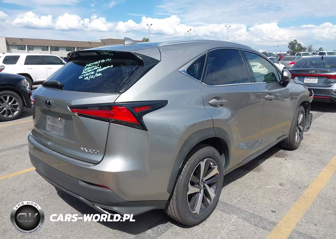 2019 Lexus Nx 300 VIN:JTJYARBZ3K2149670 - 4