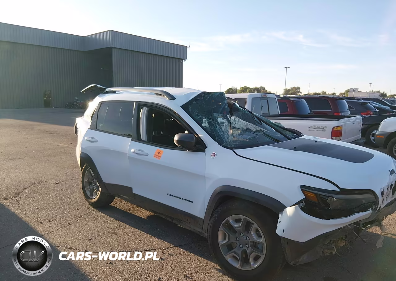 2019 Jeep Cherokee Trailhawk 4X4 VIN:1C4PJMBXXKD228516 - 1